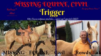 MISSING EQUINE, Civil - Rowdy aka Trigger,  Near Bartonville, TX, 76266